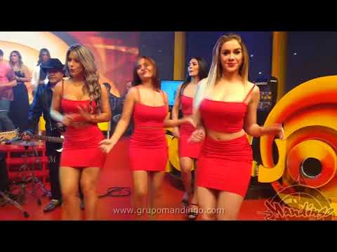 Mandingo - Bailarin Din Don - TV Playback PARAGUAY 2017