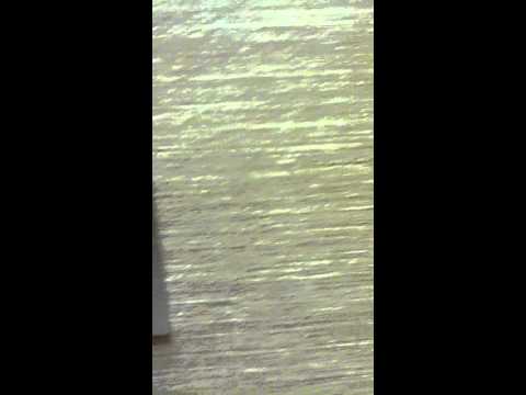 toledo elevator at hampton in sandusky oh