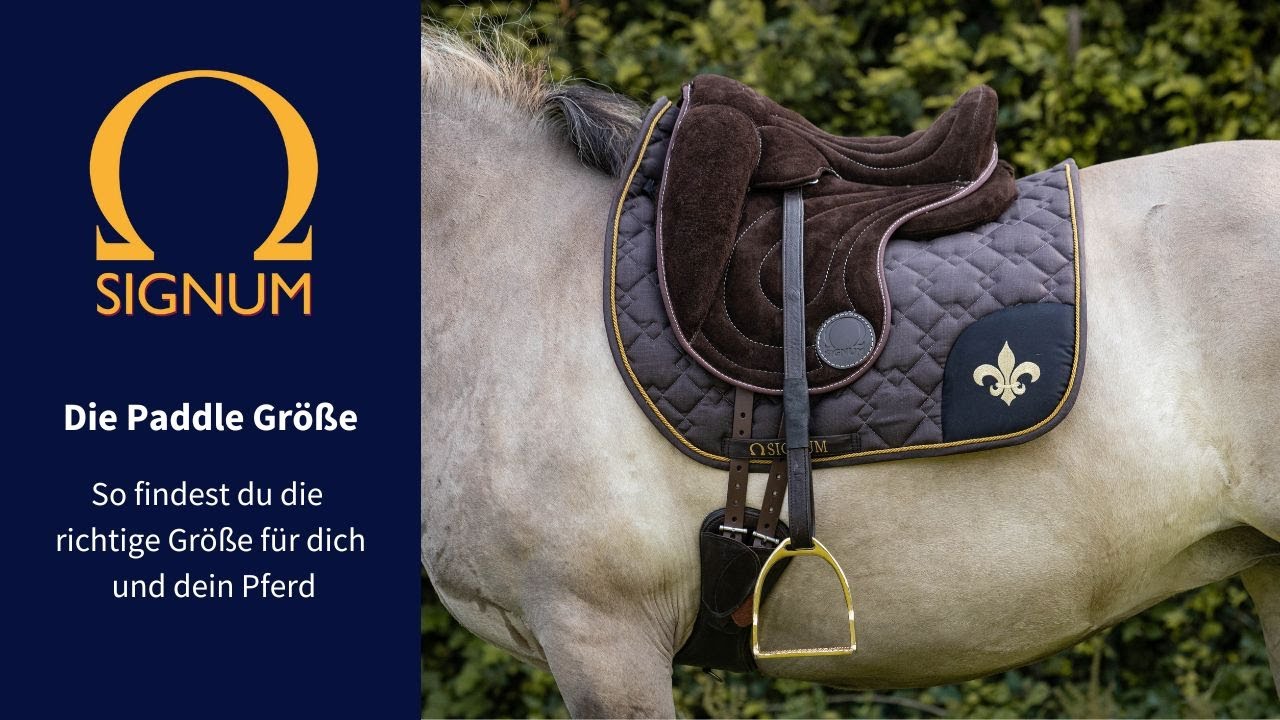 Die Paddle Größe - So findest du die richtige Größe für dich und dein Pferd