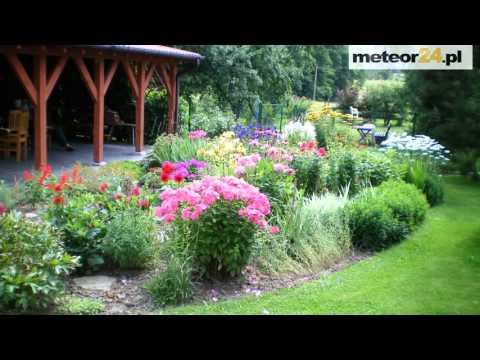 U Marity i Janka - Jędrychowo meteor24.pl