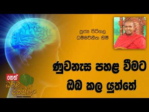 Darma Dakshina 2019.03.27 - Pitigala Dammawinitha Himi