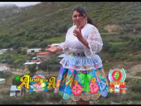 Mariposa - Alcanforcita De Huayana