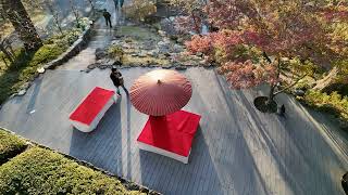 宝満宮竈門神社 紅葉2023