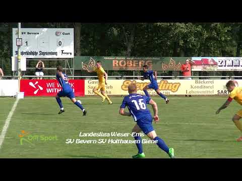 19 08 25 bevern holthausen biene