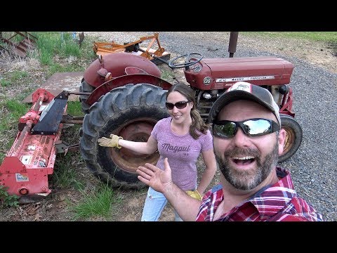 IS A 40 YEAR OLD MASSEY FERGUSON 135 UP TO THE TILLING JOB??MRS STONEY GETS SPUNKY!!!