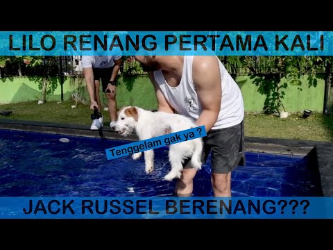 LILO berenang pertama kali ! - VLOG