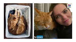 Hill's Science Diet — Hill\u2019s = Love (songs)