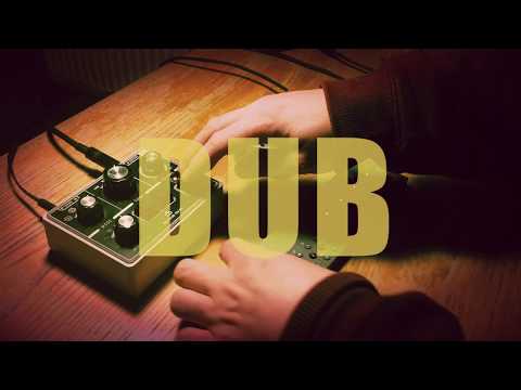 echotree - Skankin' | An OP-Z Stepper