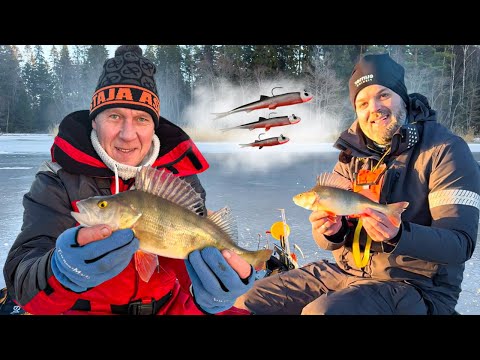 Ahven PURULLA - Nyt löytyi jouluahvenet - Ahvenen pilkintä - Hyvää joulua