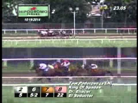 2DA CARRERA DEL DOMINGO 19 DE OCTUBRE DEL 2014 HPR