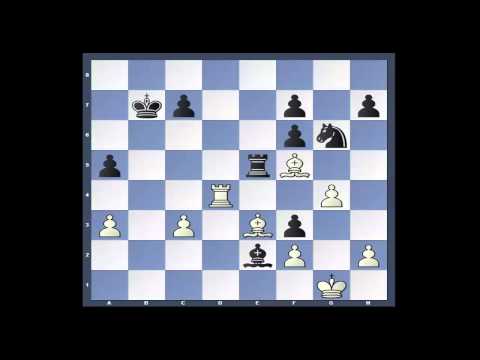 #197 Svidler v Topalov FIDE Candidates Final 2014