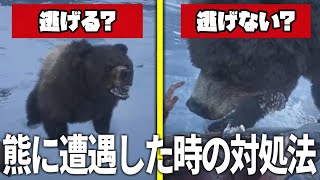 熊と遭遇した時の正しい対処法【RDR2】