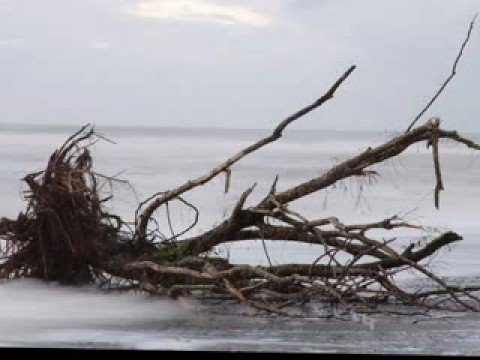 Mull Of Kintyre video