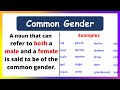 Common Gender Nouns Common Gender Examples English Grammar Common Gender