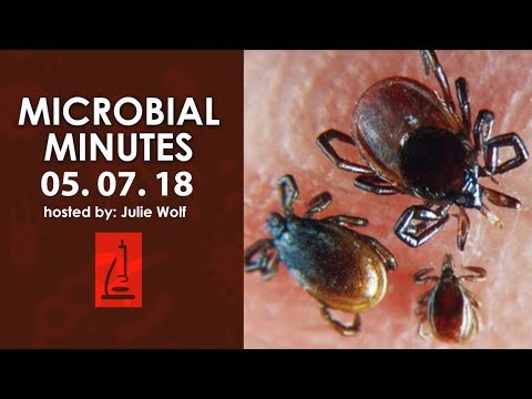 Sequencing influenza, CRISPR diagnostics, and an increase in tick and mosquito-born disease