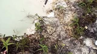 preview picture of video 'Tempat wisata kolam biru selakau timur gambir'