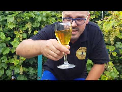 Kings of Mead odc.107 - Miód pitny jabłkowy