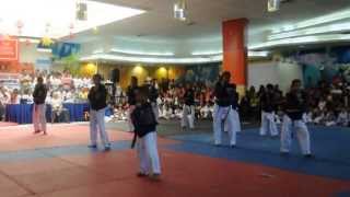 preview picture of video '2013 Regional Poomsae Championship SM Rosales Pangasinan'