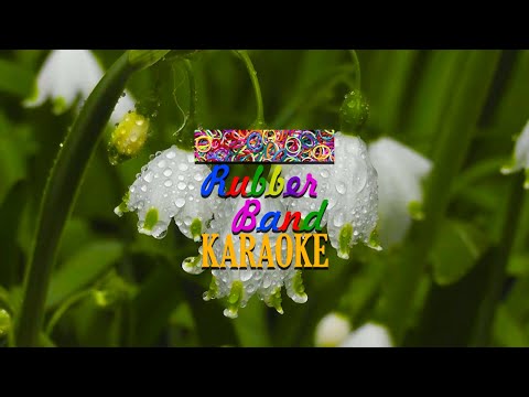 Heyo Haalugaa Kalaa Thihen (M Solo) | Ali Rameez | By Rubber Band Karaoke