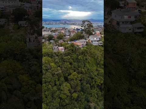 Reflexão poderosa: seu guia para uma vida plena e feliz.