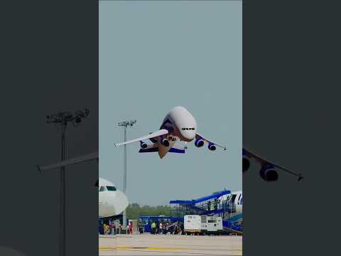 Funny airplane dance ✈️✈️ plane dance #planedance #aeroplane #airplanea