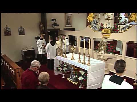 EWTN Daily Catholic Mass - 2014-11-2- All Saints- Fr. Anthony Mary