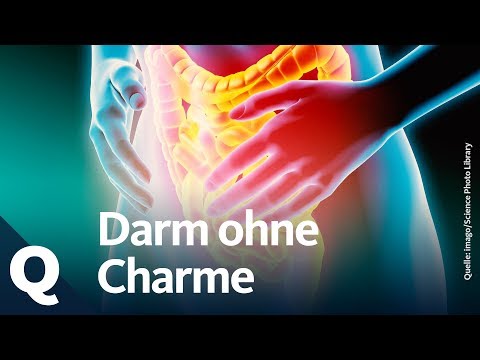Irritable Bowel Syndrome: On the Trail of a Mysterious Disease | Quarks