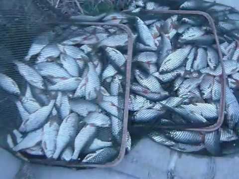 RUSANESTI  9 APRILIE  2012