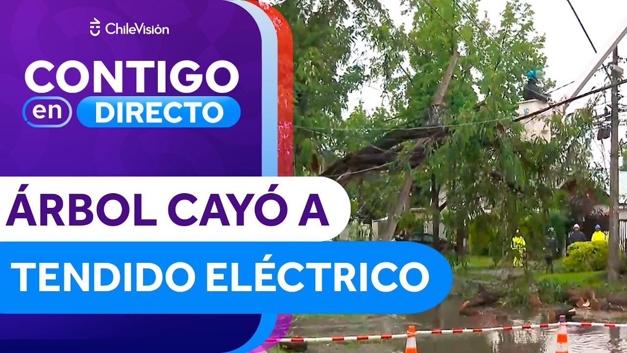 Árbol cayó sobre el tendido eléctrico y quebró un poste en La Reina - Contigo en Directo