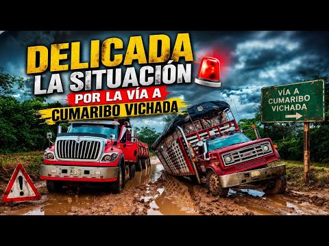 🚨 Delicada la situación por la vía que conduce a Cumaribo Vichada 