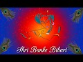 Shri Banke Bihari WhatsApp Status 30 Seconds
