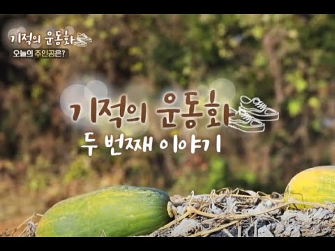 [세란병원이 함께하는 기적의 운동화 2회] 강화도의 여장부 유섭섭 어머니의 사연은..