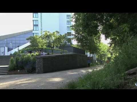 Red Bull Phenom: Daniel Portorreal