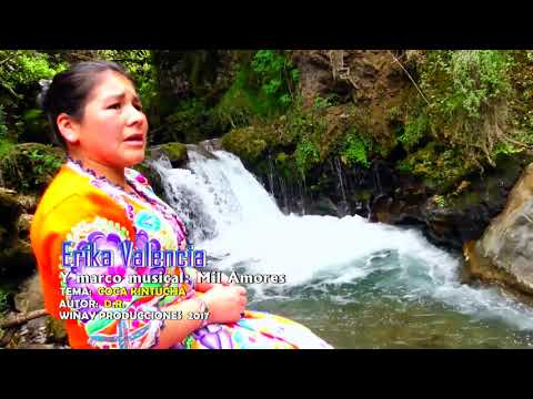 ERIKA VALENCIA -  MIX / SOLO EXITOS