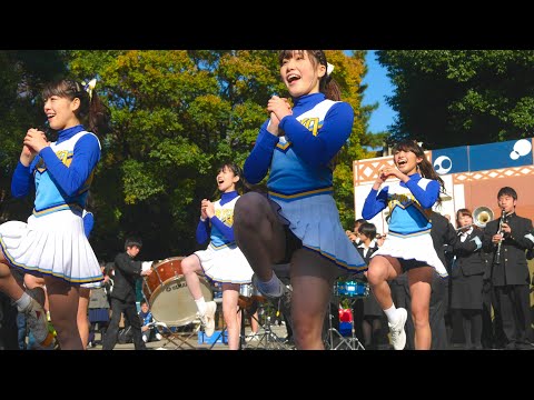 駒場祭2016 チャンスパターンメドレー&amp;応援歌 東京大学運動会応援団チアリーディング部KRANZ