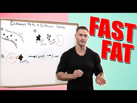 Fast Fat vs. Slow Fat | Optimize Energy | Fat Digestion Speeds- Thomas DeLauer