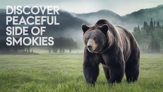 STOP Overlooking the Smokies' Best Kept Secret!
