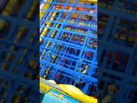 Tere vaste falak se main Chand launga🌹