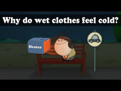 為什麼溼衣服會覺得冷?| 為什麼溼衣服會覺得冷? (Why do wet clothes feel cold? | #aumsum)