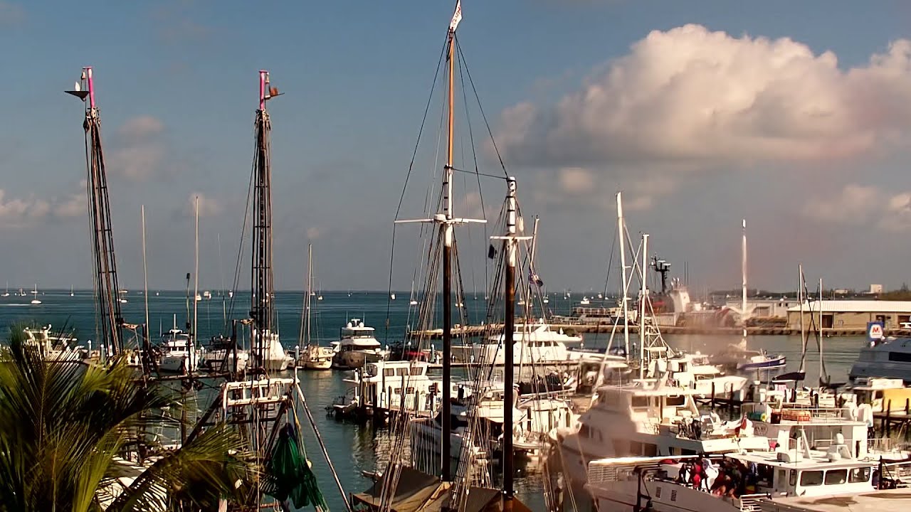 Live webcam view of Puerto de Cayo Hueso desde The Marker