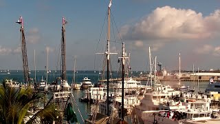 🔴 LIVE Key West Harbor at the Marker Hotel
