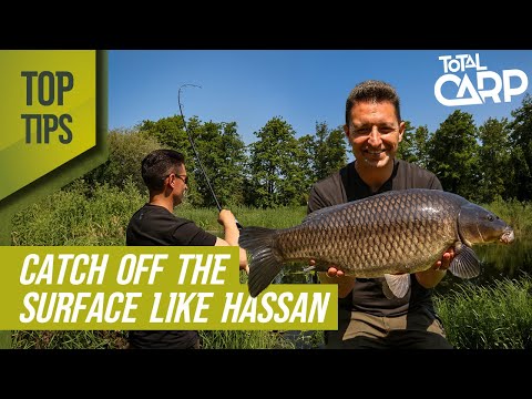 Catch more carp off the surface this summer!