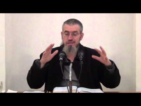 48 - Halifet e drejte