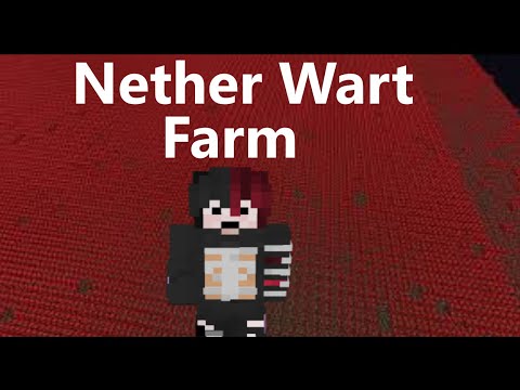 Making a Big Nether Wart Farm in Hypixel Skyblock