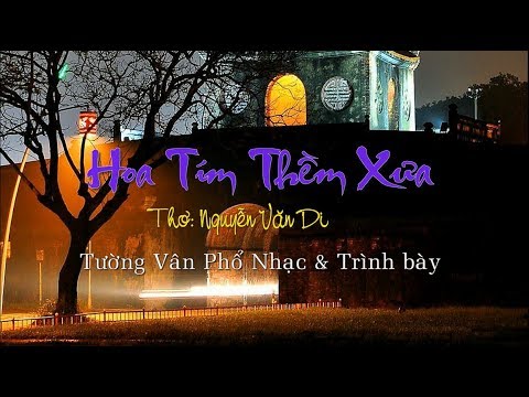 Hoa tím thềm xưa - Tường Vân