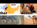 Thar Desert Documentary 8k 4k
