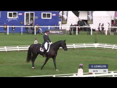 download lagu mp3 mp4 Eventing Stallions At Stud Uk, download lagu Eventing Stallions At Stud Uk gratis, unduh video klip Eventing Stallions At Stud Uk
