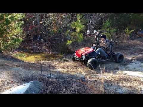 Taotao 125cc go karts