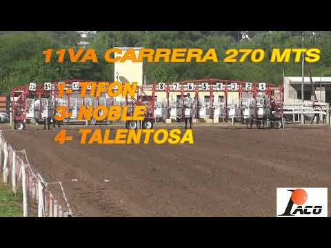 NOBLE  HIPODROMO DON SOHAR CRUZ DEL EJE 27 3 2022