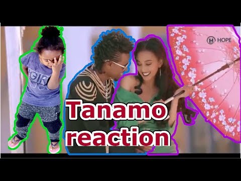 Sancho Gebre - Tanamo | ሳንቾ ገብሬ ታናሞ - New Ethiopian Music 2019 (Official Video) Reaction